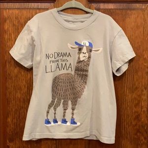 Llama T-shirt Boys size 5